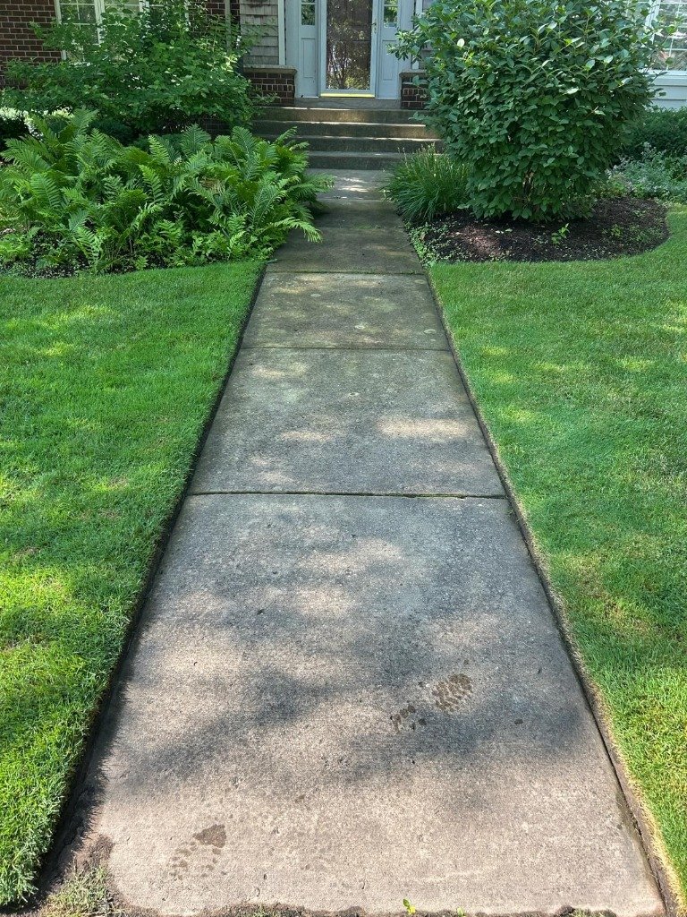 Walkway Before